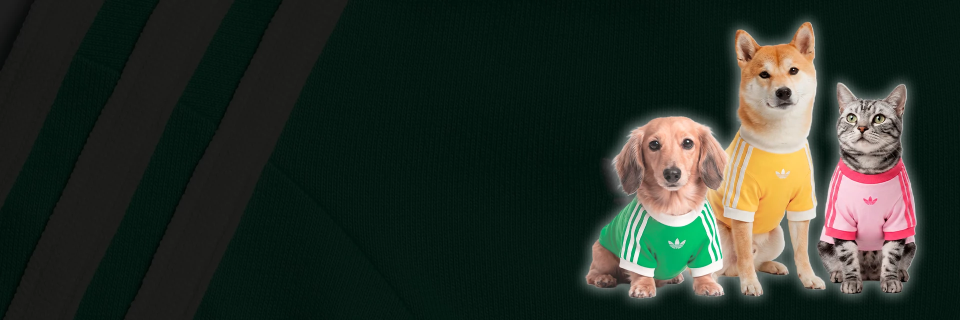 Restock der adidas Pet Cali T-Shirts! 