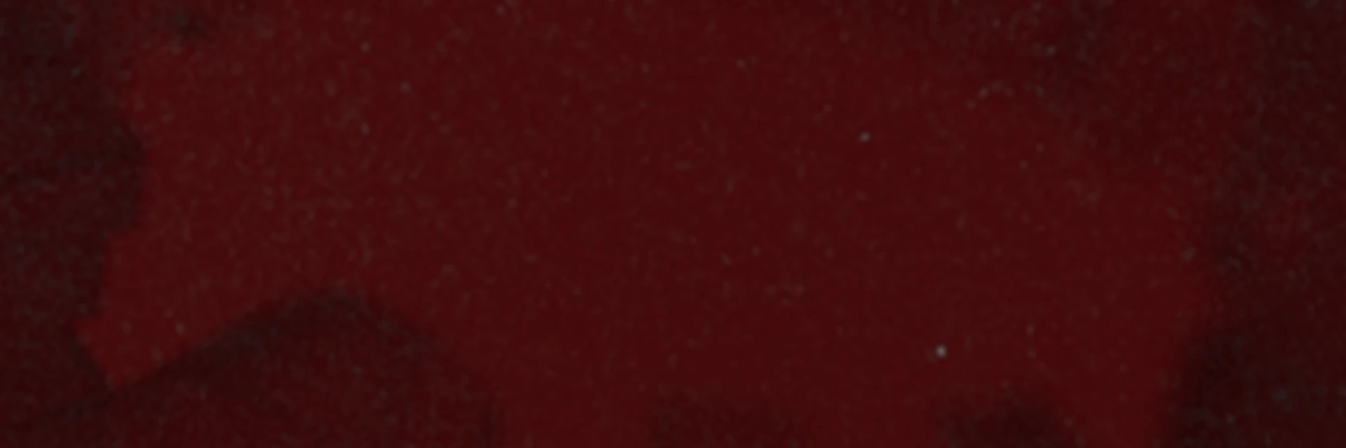 BSTN Winter Sale - bis zu 50% off!