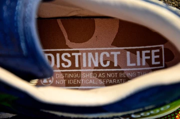 4reebok-distinctlife-gl6000