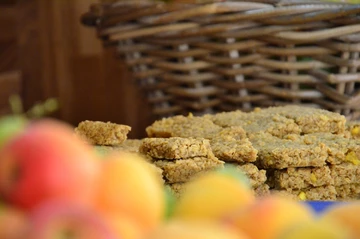 22reebok - slamdunk - fulda