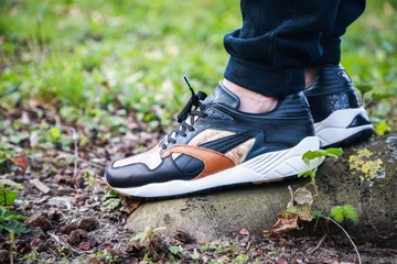 4puma-rugged-disc-850