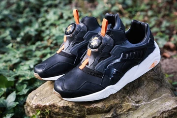 2puma-rugged-disc-850