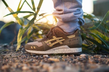 asics-turtle-crane7_1