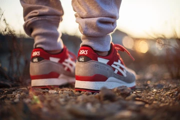 asics-turtle-crane6_1