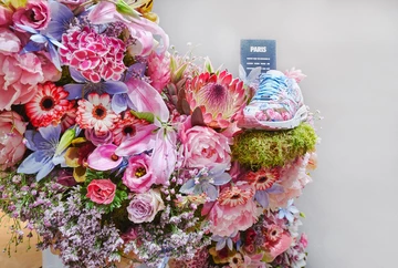 5airmax-ultra-citypack-overkill