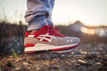 asics-turtle-crane5_1