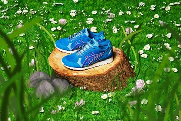 end-onitsuka-bluebird-3_1