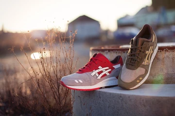 asics-turtle-crane3_1