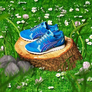 end-onitsuka-bluebird-2_1