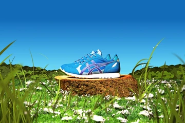 end-onitsuka-bluebird-4_1
