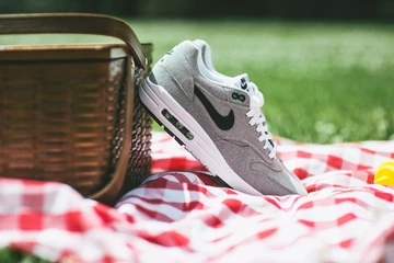 8nike-airmax-picnic