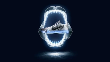 3nike-kobe-htm