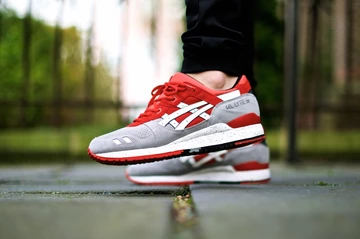 20asics-gellyte-crane