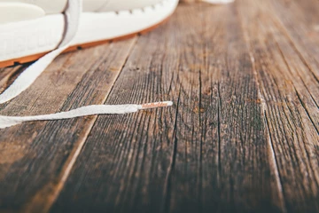 2titelhelden-kangaroos