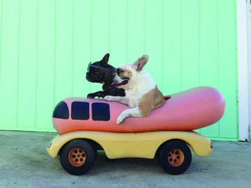 46stance-summer-2015