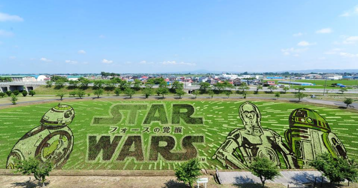 Giant Star Wars figures in a Japanese rice field - Video | Dead Stock