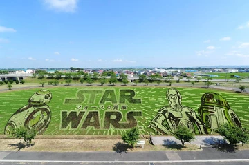 Riesige Star Wars Figuren in einem japanischen Reisfeld - Video
