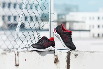 asics_evo_3