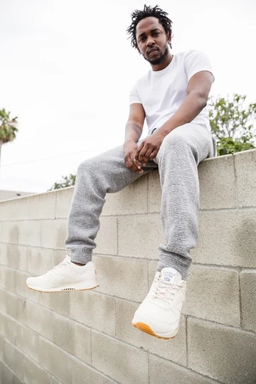 3reebok-lamar-ventilator