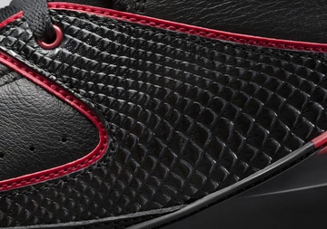 air-jordan-2-87-alternate-5