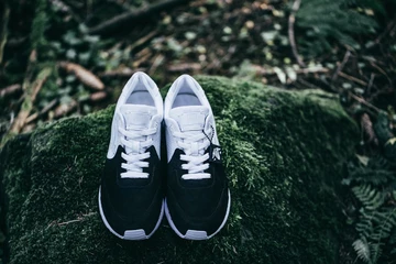 4kangaroos-43einhalb-ovis