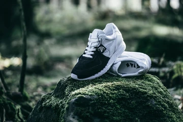 1kangaroos-43einhalb-ovis