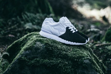 5kangaroos-43einhalb-ovis