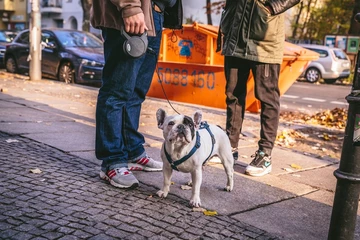 10adidas-equipment-overkill-taxi