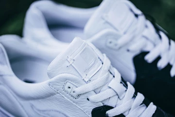 6kangaroos-43einhalb-ovis