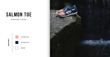 homage-ronnie-fieg-asics4