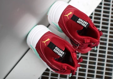 sf-puma-bog-bloodbath-011