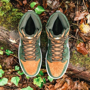 nike-dunk-high-homegrown3