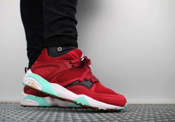 sf-puma-bog-bloodbath-002