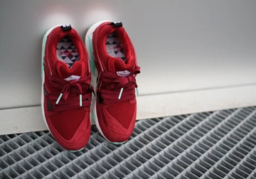 sf-puma-bog-bloodbath-010