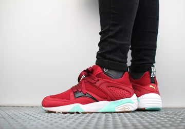 sf-puma-bog-bloodbath-006