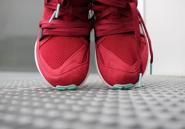 sf-puma-bog-bloodbath-023