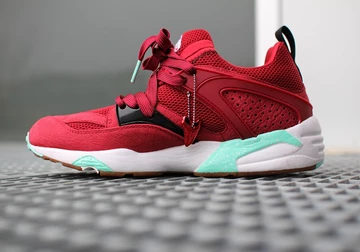 sf-puma-bog-bloodbath-021