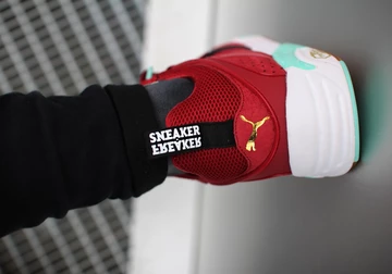 sf-puma-bog-bloodbath-009