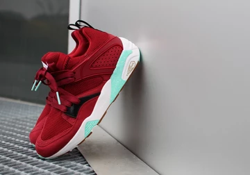 sf-puma-bog-bloodbath-012