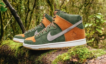 nike-dunk-high-homegrown