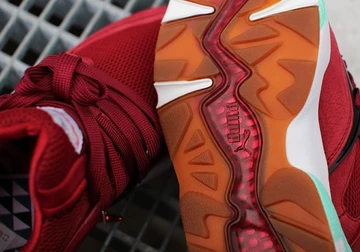 sf-puma-bog-bloodbath-017