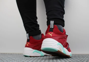 sf-puma-bog-bloodbath-008