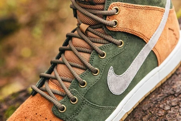 nike-dunk-high-homegrown6