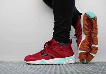 sf-puma-bog-bloodbath-007