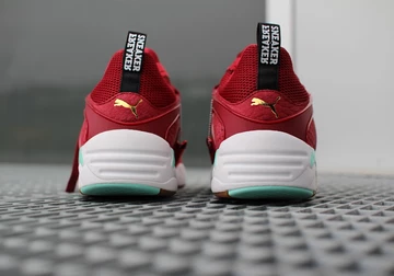 sf-puma-bog-bloodbath-022