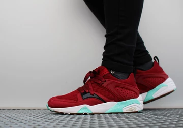 sf-puma-bog-bloodbath-001