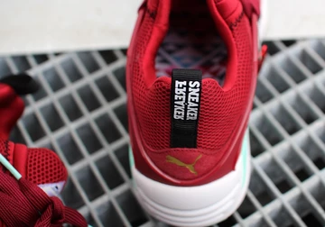 sf-puma-bog-bloodbath-014