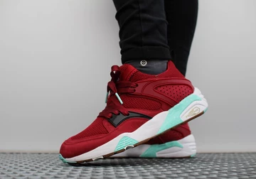 sf-puma-bog-bloodbath-004