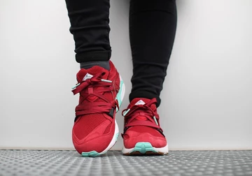 sf-puma-bog-bloodbath-003