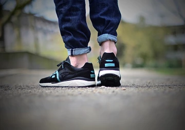 kangaroos-asphaltgold-omnirun-katz - 15